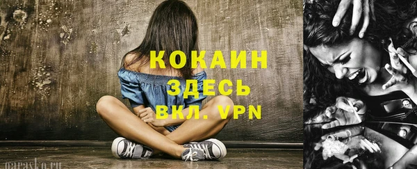 амф Новозыбков