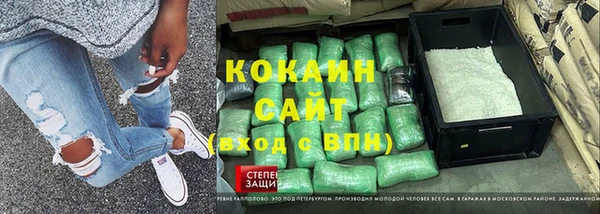 амф Новозыбков