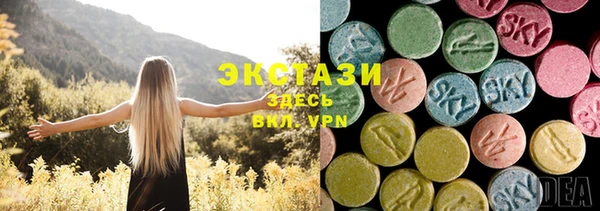 амф Новозыбков