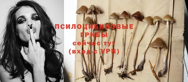 дживик Новокубанск