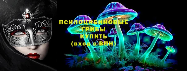 мдма Новодвинск
