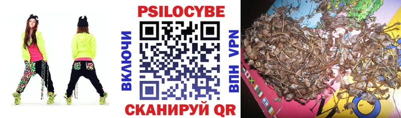 Псилоцибиновые грибы Psilocybine cubensis как найти наркотики Тобольск