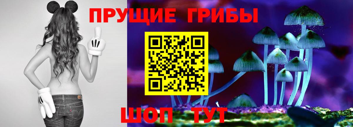 Псилоцибиновые грибы мицелий Тобольск